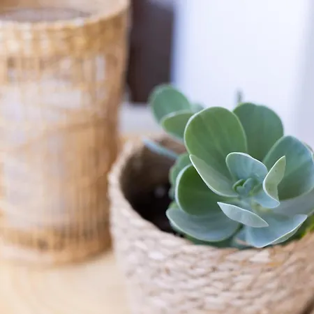 Casa Uamisun With Seaview & Pool Holiday home *