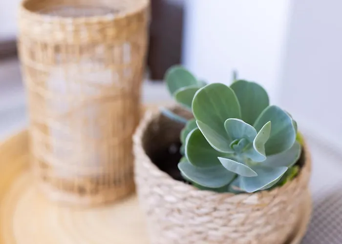 Casa Uamisun With Seaview & Pool Holiday home *